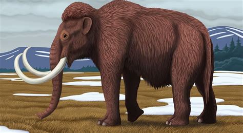 Woolly Mammoth (Mammuthus primigenius) by Ozja The Wooly, Flora And ...