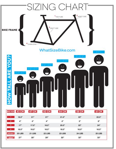 Bike Sizing Chart | What Size Bike?