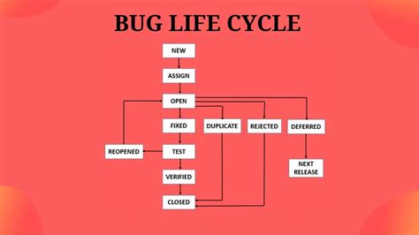 Bug life cycle là gì? - Tự học lập trình