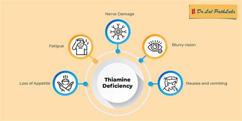 Thiamine Deficiency Archives | Dr Lal PathLabs Blog