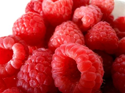 Red Raspberries Free Stock Photo - Public Domain Pictures