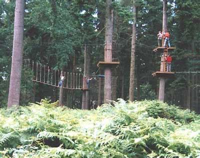 Go Ape - a thrilling aerial experience in Thetford Forest Breckland ...