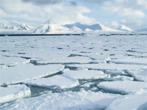 Arctic Ocean - Pack Ice on the Sea Surface Stock Photo - Image of ...