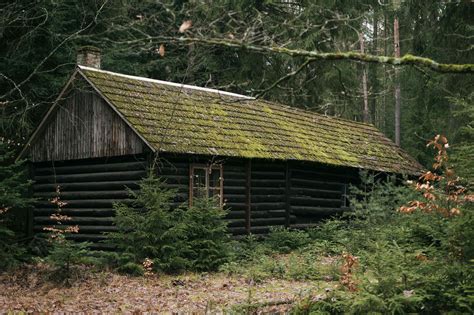 Magical Abandoned Cabin in Woods | Copyright-free photo (by M. Vorel ...