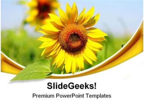 Sunflower Beauty PowerPoint Templates And PowerPoint Backgrounds 0511 ...