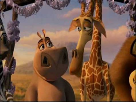 Image - Melman and Gloria.jpg - Jaden's Adventures Wiki