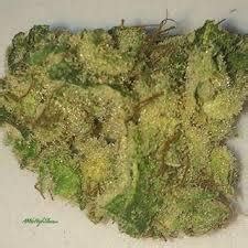 Valley Ghash Marijuana Strain Information & Reviews | AllBud