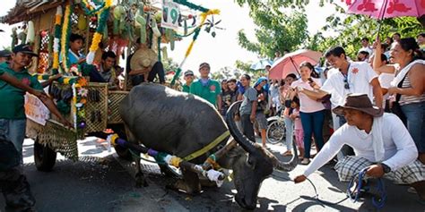 Pulilan Carabao Festival 2019 in Philippines, photos, Festival ...