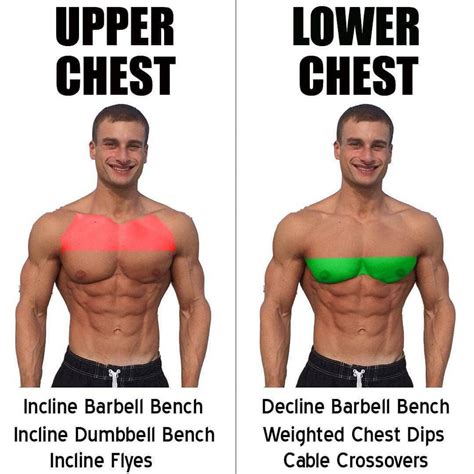 Chest Exercises | Upper Chest & Lower Chest -weighteasyloss.com