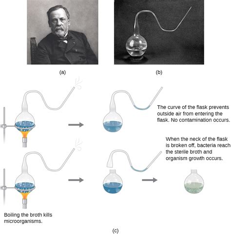 1.6.2: Pasteur and Spontaneous Generation - Biology LibreTexts