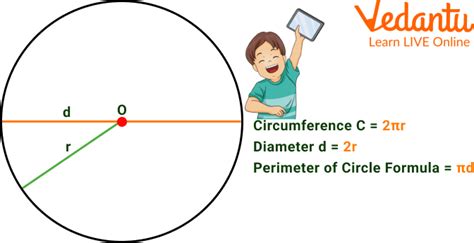 Perimeter and Area of Circle - Learn and Solve Questions