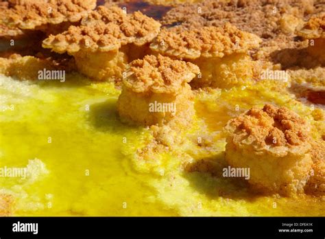 Salt Formations on Saltwater Lake, Dallol, Danakil Desert, Ethiopia ...