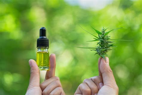 7 Things to Know Before You Buy and Try CBD Products