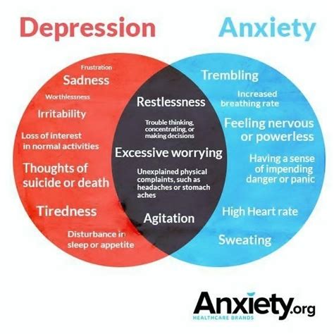 Understanding Anxiety – Plan D NOVA- Resources for Northern Virginia Youth