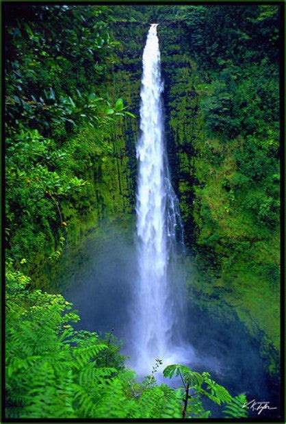 Akaka Falls - Big Island – Hawaiipictures.com