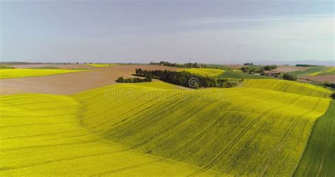 Scenic View of Canola Field Against Sky Stock Photo - Image of blossom ...