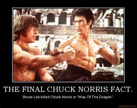 Chuck Norris v.s Bruce Lee (Re-match!) - Battles - Comic Vine