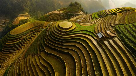 Mu Cang Chai rice terraces - backiee