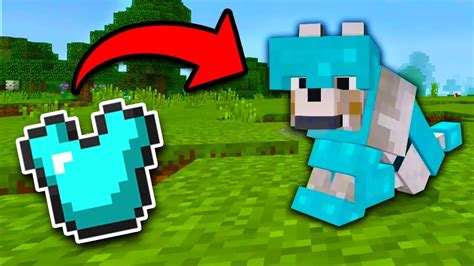 How to get WOLF ARMOR in Minecraft Tutorial! (Pocket Edition, Xbox ...