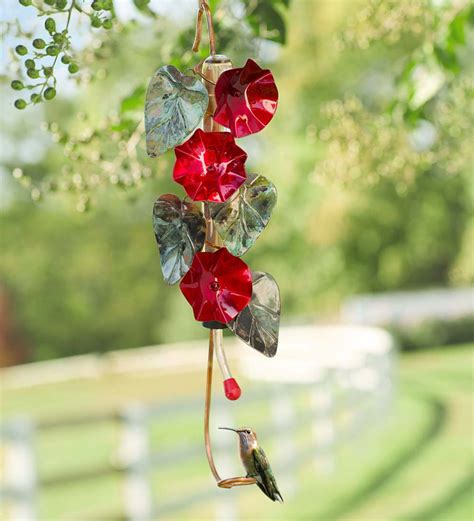 Morning Glory Hummingbird Feeder | Gifts for Bird Lovers | Gifts by ...