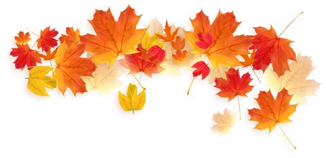 Autumn tree png download free png images