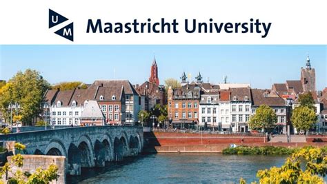 The University College Maastricht Undergraduate scholarship