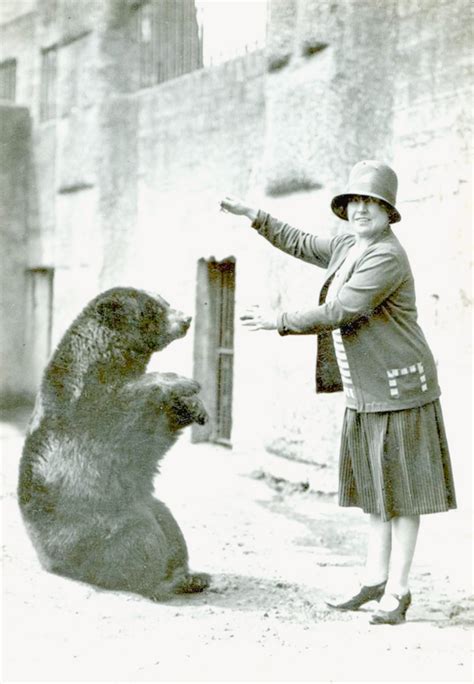 Meet the Real Winnie the Pooh Behind the Iconic Character | PETA