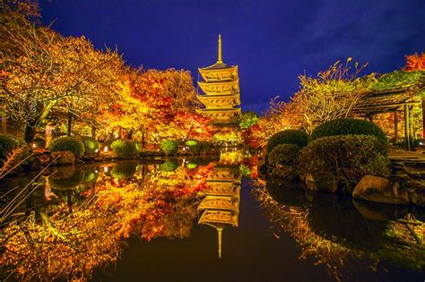 Introducing Kyoto sightseeing night viewing & illumination | Activity Japan