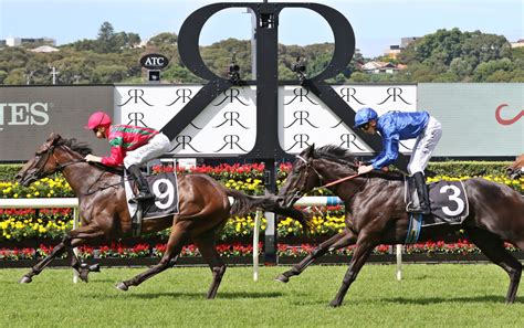 Randwick Racecourse - Tips, News, Betting & Fields