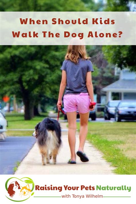 Raising Kids and Dogs Kids and Dogs Part One-Walking The Dog