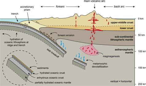 Schematic cross section of an ocean-continent convergent plate margin ...