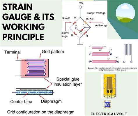 strain gauge diagram Archives - Electrical Volt