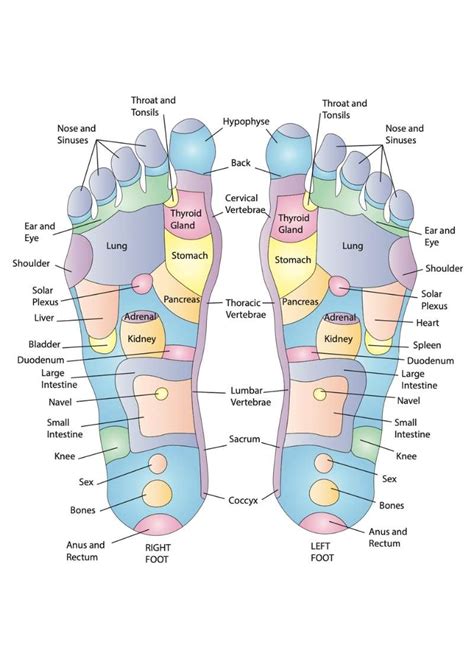 What is Reflexology? | Moyer Total Wellness