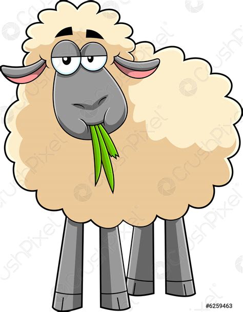 Cute Sheep Cartoon