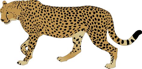 Running Cheetah Clipart - ClipArt Best