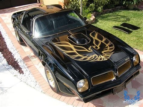 1976 50th Anniversary Pontiac Trans Am Black & Gold | Pontiac Firebird ...