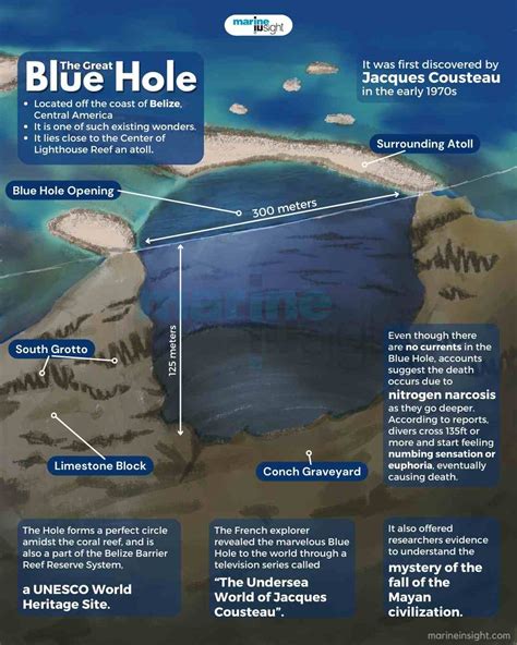 zalijevajte cvijet izlaz Komemorativni blue hole in great barrier reef ...