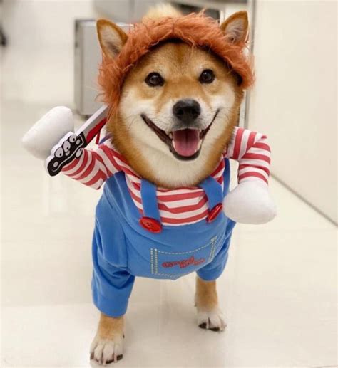 Shiba Inu Halloween Costume - Happy Shibas™