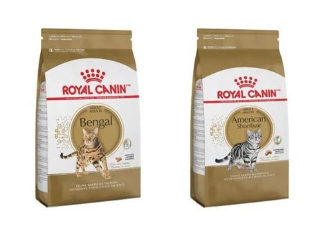 RC Breed Specific Dry Kibble