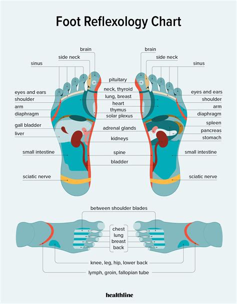 Foot Reflexology Chart: Points, How to, Benefits, and Risks