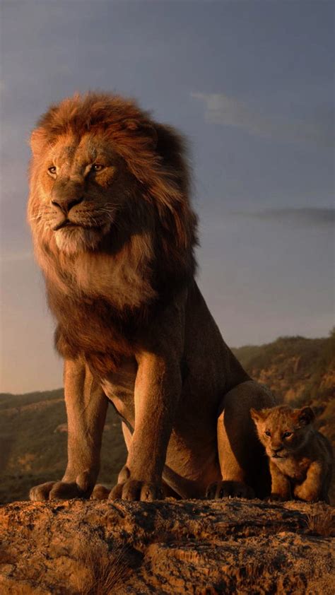 Simba The King Lion Hd Wallpapers For Pc - Infoupdate.org