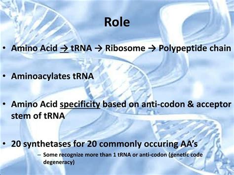 PPT - Aminoacyl tRNA Synthetase PowerPoint Presentation, free download ...