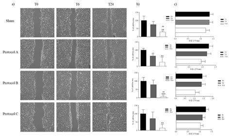 IJMS | Free Full-Text | Evaluation of Cell Migration and Cytokines ...