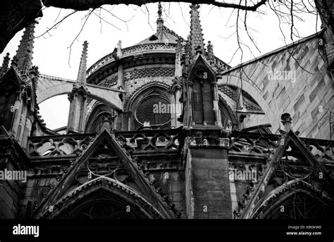 Notre dame architecture Stock Photo - Alamy