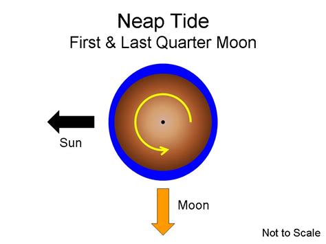 Lecture 20: Tides