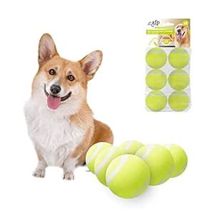 Dog Toys for Exercise and Training - Buy Online