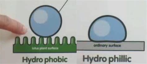 Hydrophobic/Hydrophilic Properties – MRSEC Education Group – UW–Madison