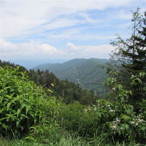 View from Clingmans Dome ~ Highest point in the Great Smoky Mountains ...