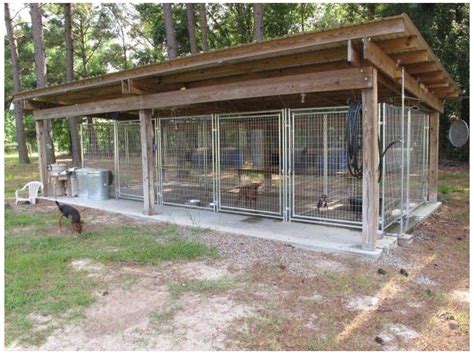 Post pictures of your dog pen #hunting #dog #kennel #ideas #outdoor # ...