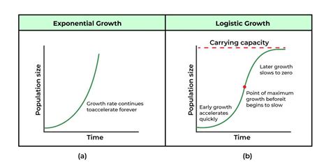 Logistic Population Growth Graph